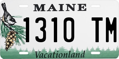ME license plate 1310TM
