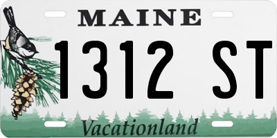 ME license plate 1312ST