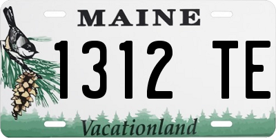 ME license plate 1312TE