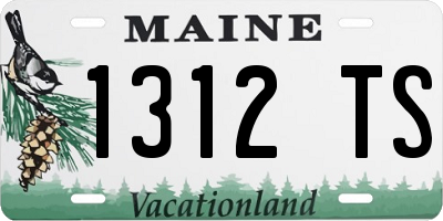 ME license plate 1312TS