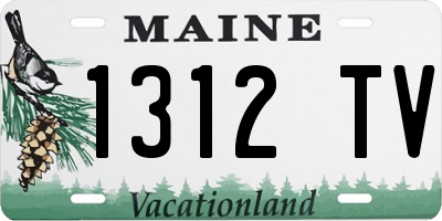 ME license plate 1312TV