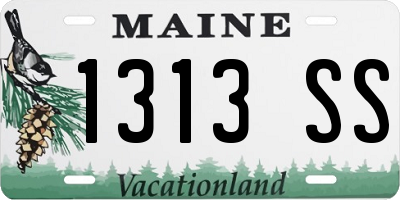 ME license plate 1313SS