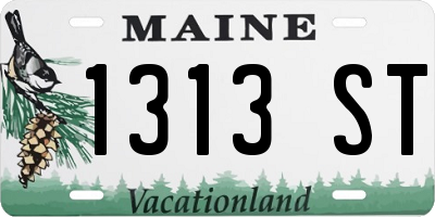ME license plate 1313ST