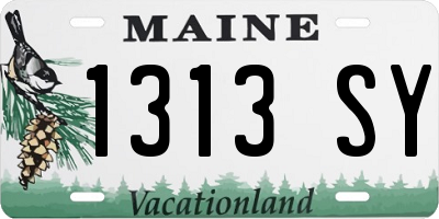ME license plate 1313SY