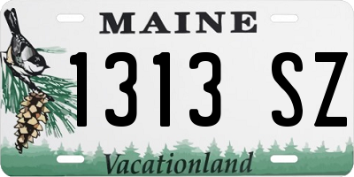 ME license plate 1313SZ