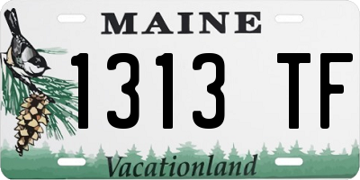 ME license plate 1313TF