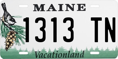 ME license plate 1313TN