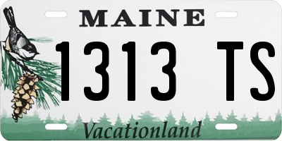 ME license plate 1313TS