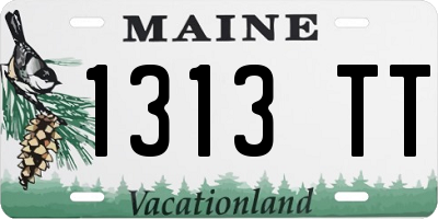 ME license plate 1313TT