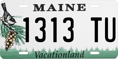 ME license plate 1313TU