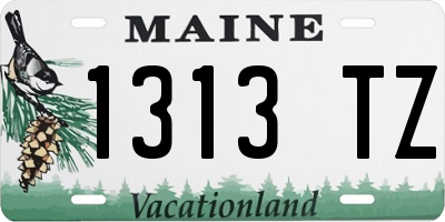 ME license plate 1313TZ