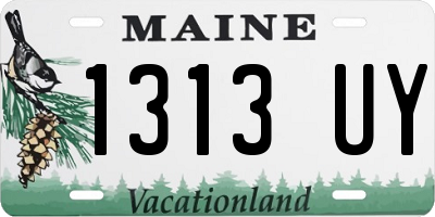 ME license plate 1313UY