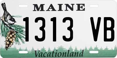 ME license plate 1313VB