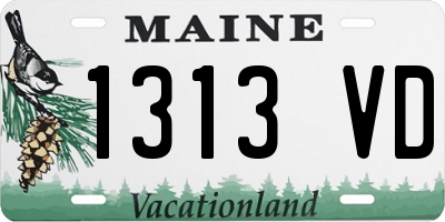 ME license plate 1313VD