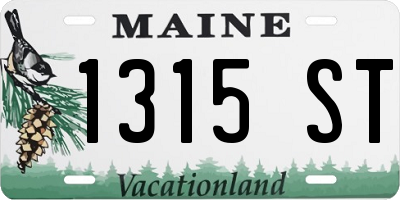 ME license plate 1315ST