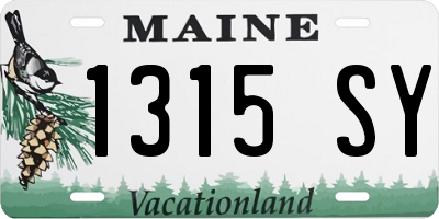 ME license plate 1315SY
