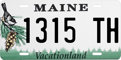 ME license plate 1315TH