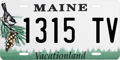 ME license plate 1315TV