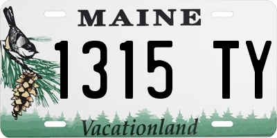 ME license plate 1315TY