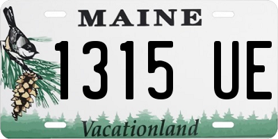 ME license plate 1315UE