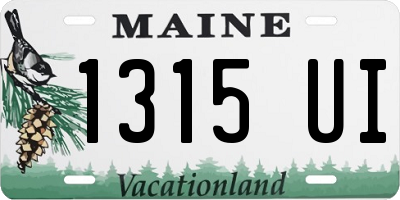 ME license plate 1315UI