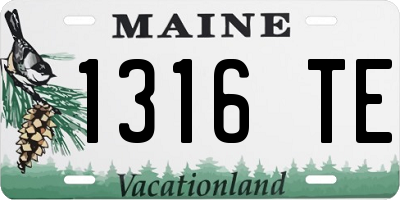 ME license plate 1316TE