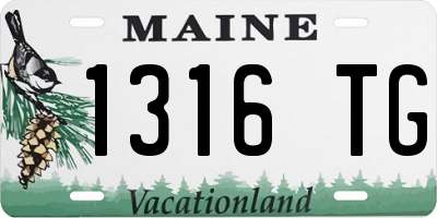 ME license plate 1316TG