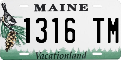 ME license plate 1316TM