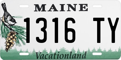 ME license plate 1316TY