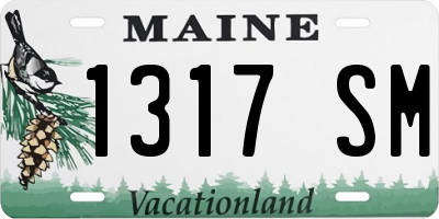 ME license plate 1317SM