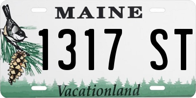 ME license plate 1317ST