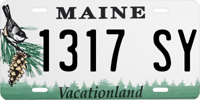 ME license plate 1317SY