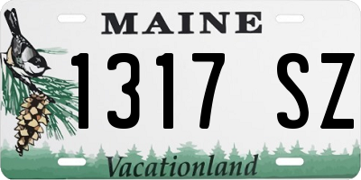 ME license plate 1317SZ