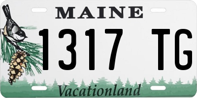 ME license plate 1317TG