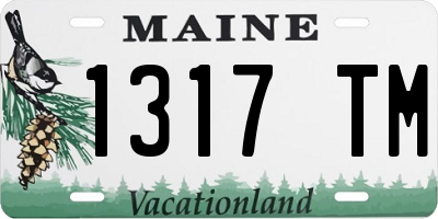 ME license plate 1317TM