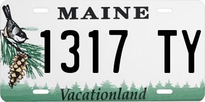 ME license plate 1317TY