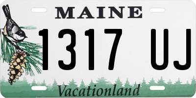 ME license plate 1317UJ