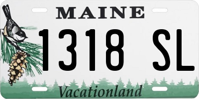 ME license plate 1318SL