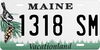 ME license plate 1318SM