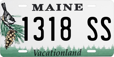 ME license plate 1318SS