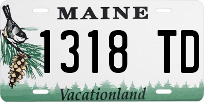 ME license plate 1318TD