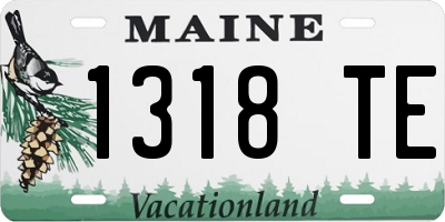 ME license plate 1318TE