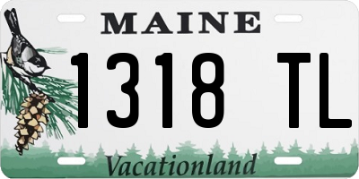 ME license plate 1318TL