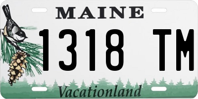 ME license plate 1318TM