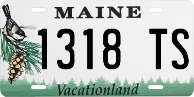 ME license plate 1318TS