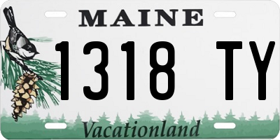 ME license plate 1318TY