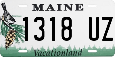 ME license plate 1318UZ