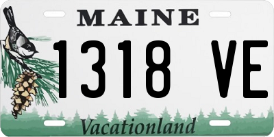 ME license plate 1318VE