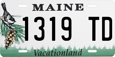 ME license plate 1319TD