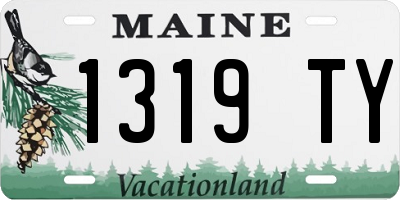 ME license plate 1319TY